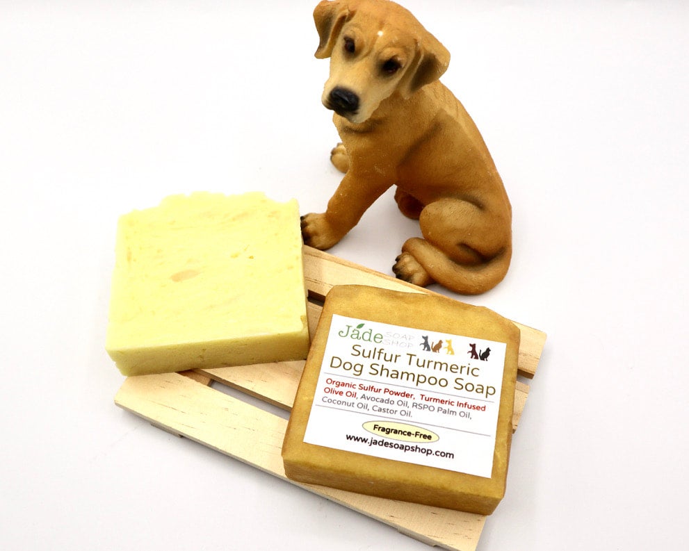 Diy dog store soap bar